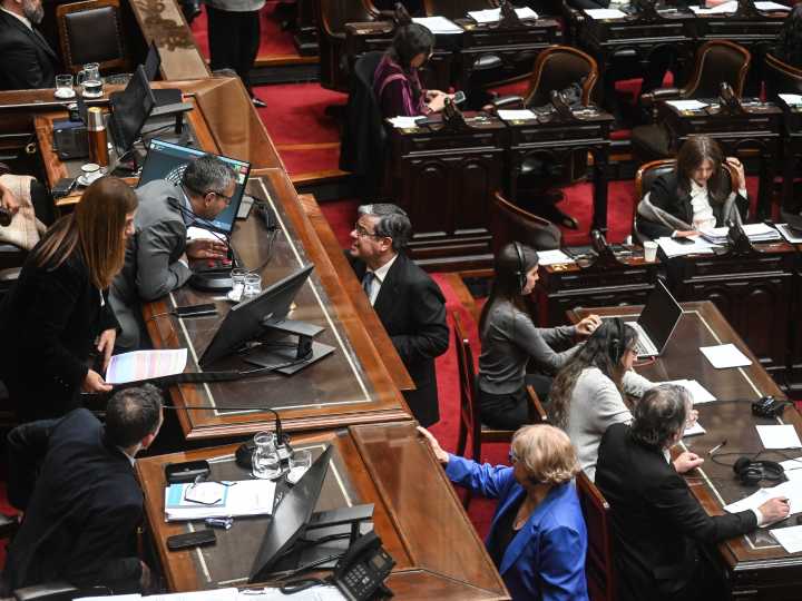 Garrahan y Universidades: la oposición confía en voltear los vetos y el oficialismo depende de gobernadores y aliados