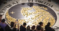 Students without legal status are dropping out or delaying college as states revoke tuition breaks
