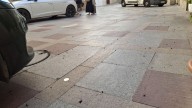 Plaga de cucarachas en Xàbia