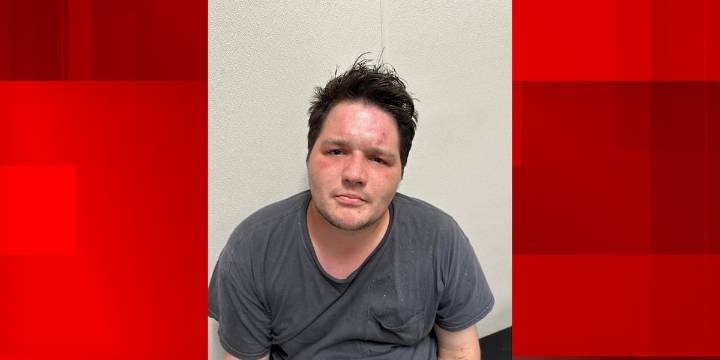 Arson suspect arrested in connection to Ponchatoula house fire, police say