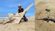 Hombre encuentra en playa africana un pez sierra, extinto desde hace 26 años y conocido por su forma de guitarra: así fue el hallazgo