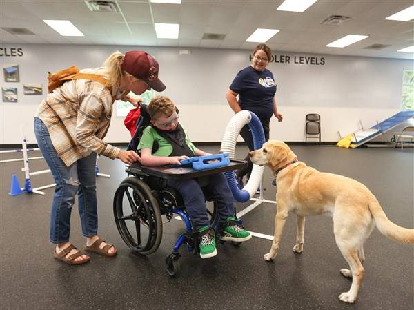 Photo Gallery: Family Fun Day at The Ability Center