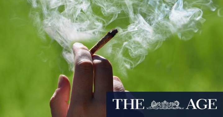 Liberal Party state council to consider motion on legalising cannabis