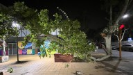 EPRE sumarió a Naturgy San Juan por no restablecer la luz en algunos barrios tras el temporal
