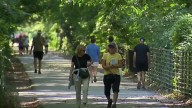 Maryland considers allowing e-bikes on all state trails – NBC4 Washington