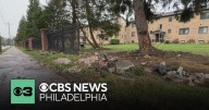 Baby killed in crash involving driver fleeing from Wilmington police