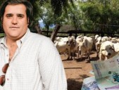 Reparten lo que quedaba de la fortuna del ganadero Felipe Rocha entre víctimas de su pirámide