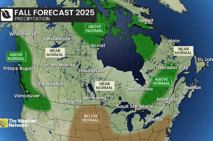 Mild fall with fewer storms could end with abrupt wintry switch: Weather Network