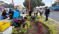 Vecinos y servidores públicos participan en jornada de reforestación en La Paz