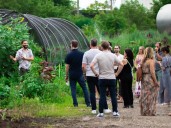 How Closed Loop Farms Became A Microgreens Empire In Chicago