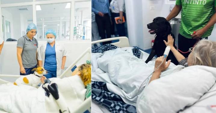 Amor peludo llega al hospital San Juan de Dios para mejorar el bienestar emocional de los pacientes