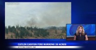 Firefighters near Ellensburg receive crucial air support in Catlin and Durr Road fires