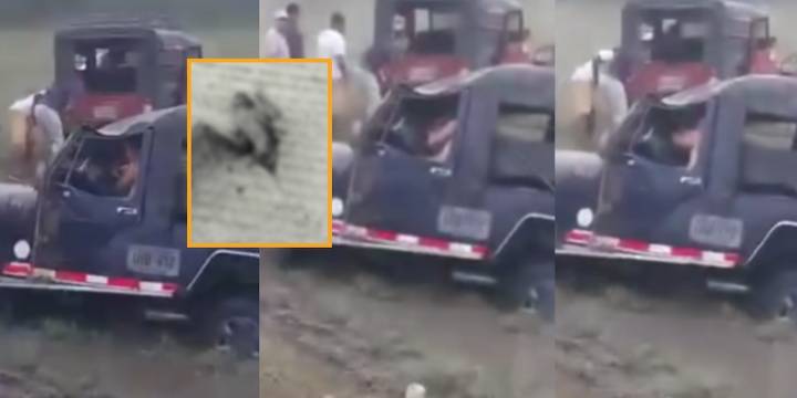 Un murciélago habría sido el responsable del accidente de un vehículo tipo jeep: 11 estudiantes resultaron lesionados