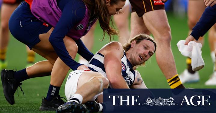 Geelong Cats vs Hawthorn Hawks: Tom Stewart concussed in the preliminary final