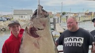 Un pescador de 13 años captura un fletán de 80 kilos más grande que él: están valorando si es récord mundial