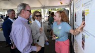 Concept plans for Belle Isle's 'public square' unveiled