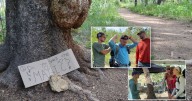 'More than magic': Human kindness goes the extra mile at trail magic station along Colorado Trail