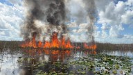 St. John's water management district sets fire to prevent fire