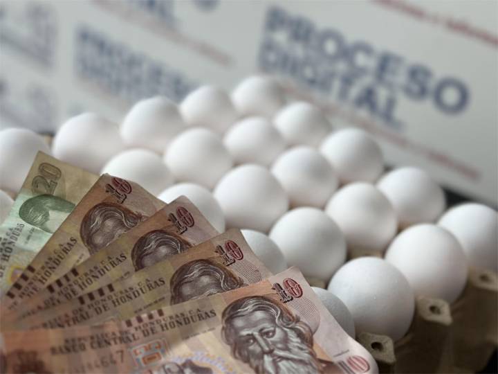Precio de huevos mediano y pequeño reporta bajas este fin de semana