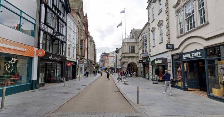Exeter High Street horror as dog attacks pet