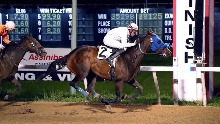 Savvy wagering pays off