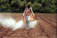 CNA respalda prohibición de 35 plaguicidas; pide transición ordenada en el campo