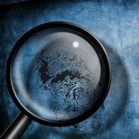 St. Louis medical examiner says man, 71, was murdered