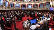Ley de Emergencia en Discapacidad: el Senado busca revertir el veto de Milei La Ley de Emergencia en Discapacidad tiene como objetivo implementar medidas excepcionales hasta 2026 y asegurar la actuali