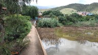 Vecinos advierten riesgo en Guanajuato; solicitan puente o barandales desde hace más de 15 años