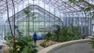 Lauritzen Gardens reopens conservatory