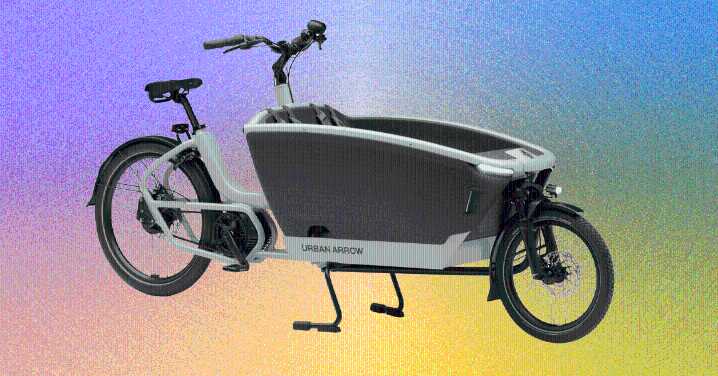 The Urban Arrow FamilyNext Pro Is Your Forever Electric Cargo Bike