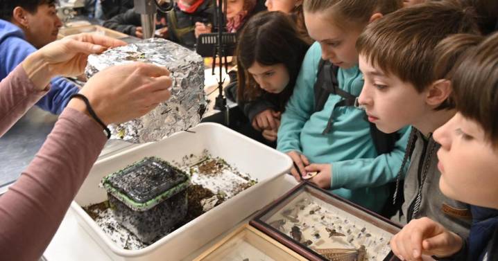 Una apuesta al futuro: los científicos promueven el encuentro con estudiantes de primaria y secundaria