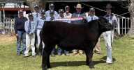 Bingera Central School wins led beef extravaganza, September 14, 2025