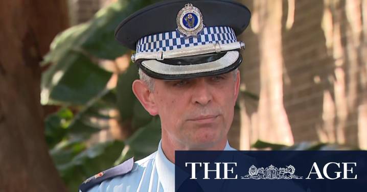 Man killed by large shark at popular Sydney beach