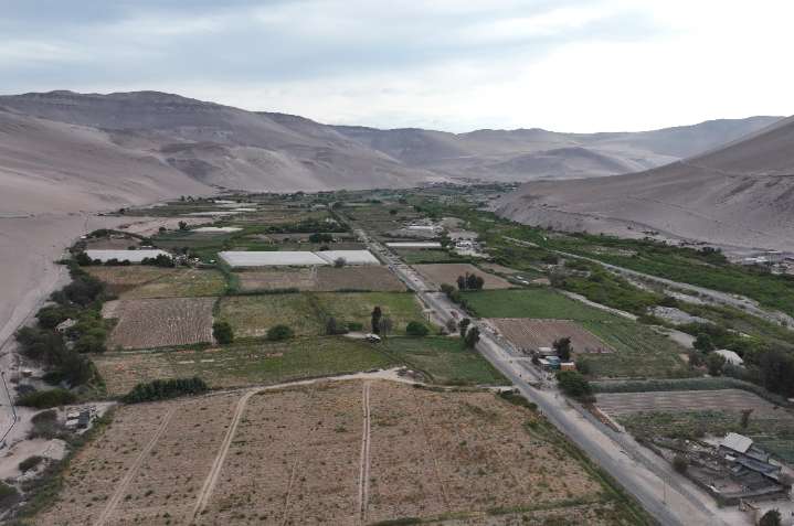 Región de Arica y Parinacota recibirá millonaria inversión para fomento productivo