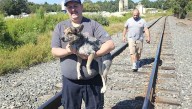 Dog reunited with family 8 days after South Carolina crash