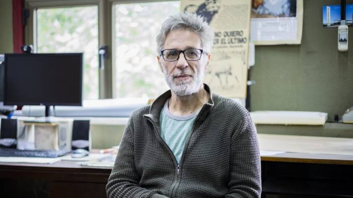 Desmonte ilegal en La Punta: aseguran que las multas llegan cuando el daño ya está hecho