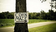 Morden Honours Local Star Loreena McKennitt with Totally Epic Corn Maze