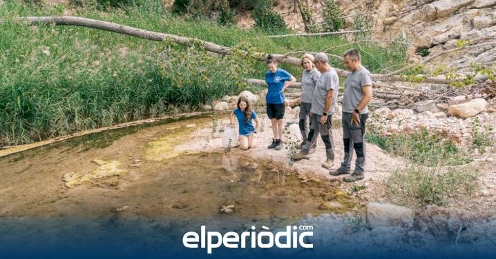 La DANA arrasó el río Magro y ahora vuelve la vida: liberan 33 peces autóctonos del Júcar para salvar la especie