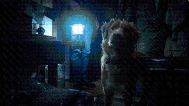 'Good Boy' Review: Horror Movie Told from the Dog's Point of View
