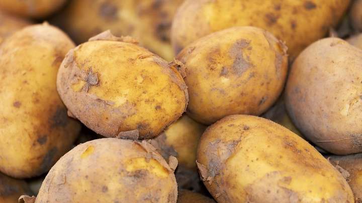 ¿Se pueden comer patatas germinadas? Aquí tienes la respuesta