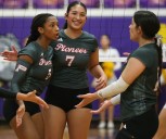 Photo Gallery: Diamondbacks outlast Lady Bulldogs in a five