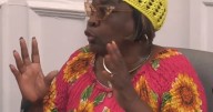 Commissioner Ovita Thornton discusses platform for District 9 race