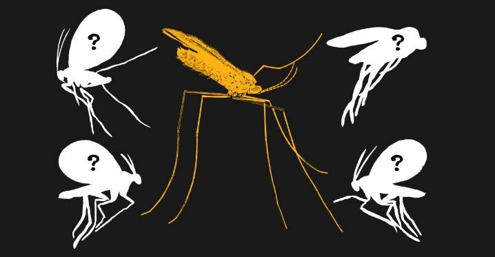 The search for Earth’s most mysterious creatures is turning up extraordinary results