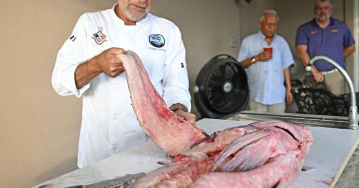 Chefs, fishermen and AI programmers are joining Louisiana's fight against invasive fish