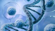 Un algoritmo epigenético puede rastrear el origen del cáncer