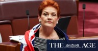 One Nation: NSW Senate nominee lives in Queensland