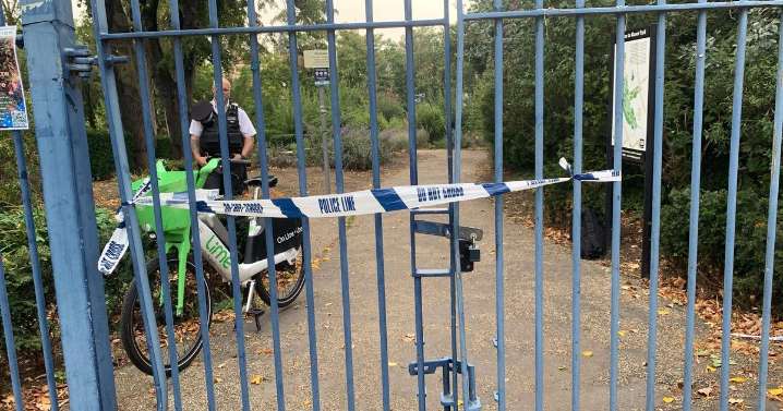 Police hunt suspect after 'sex attack' in South London park