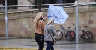 Summer a distant memory as wet and windy start heralds new working week