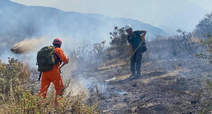 Incendio en el Misti: Fuego arrasó hábitat de más de 50 especies de flora y fauna (FOTOS)